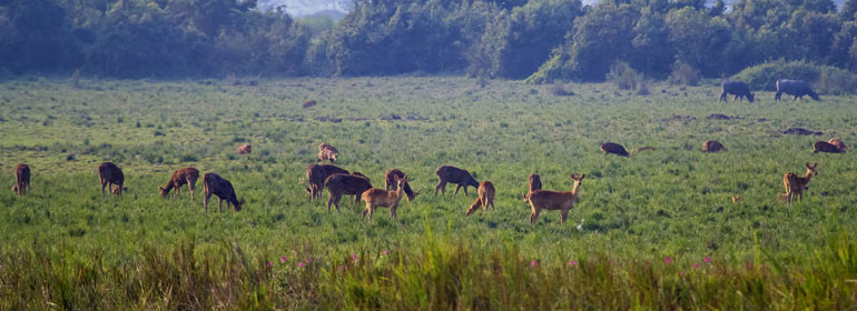 Guwahati Assam IndiaTrip