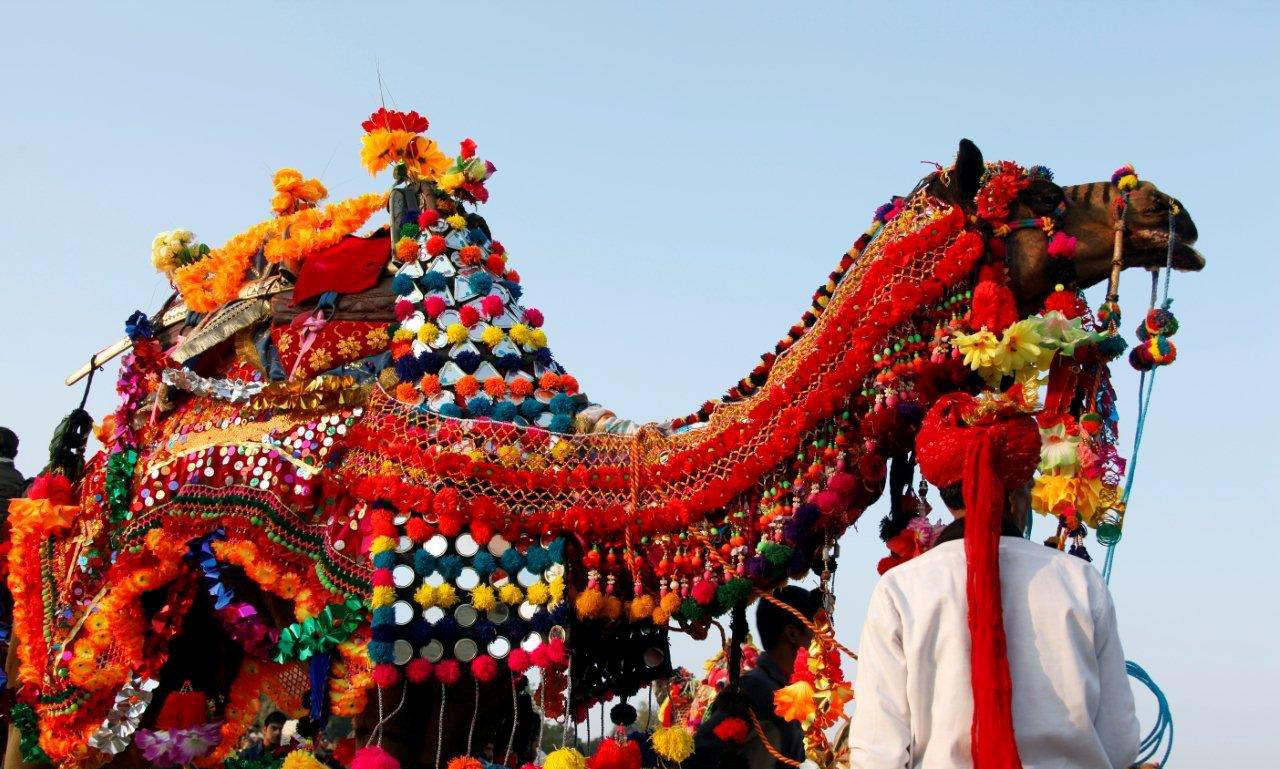 COLORFUL RAJASTHAN