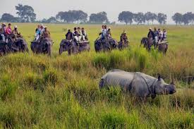 NORTH EAST PACKAGE KAZIRANGA NATIONAL PARK