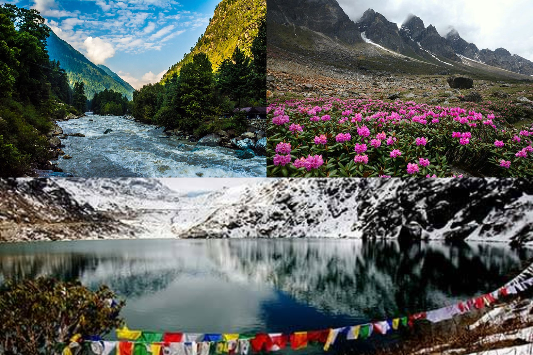 GANGTOK WITH LACHUNG AND PELLING AND DARJEELING TOUR