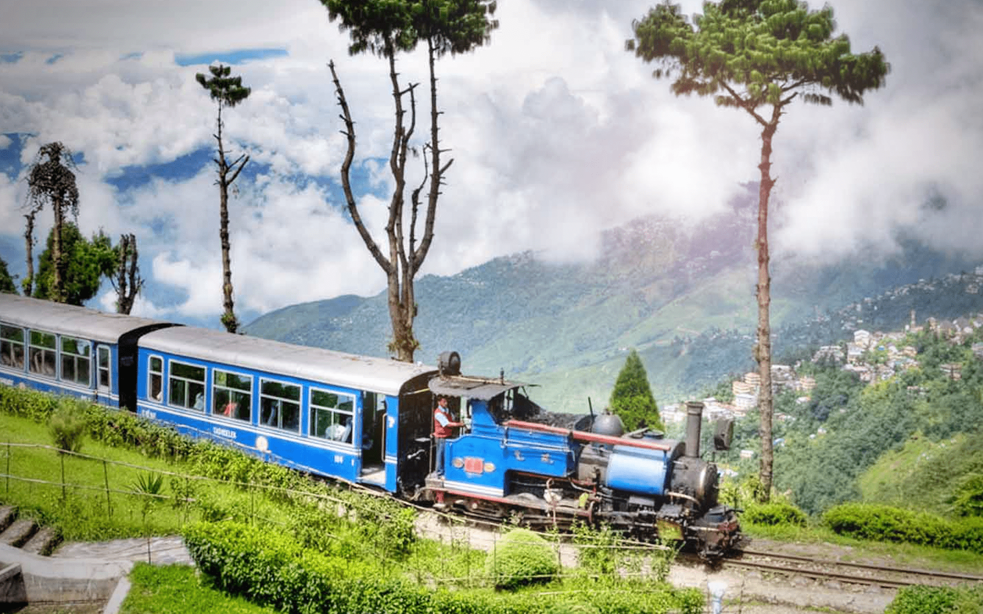 DARJEELING TOUR PACKAGE