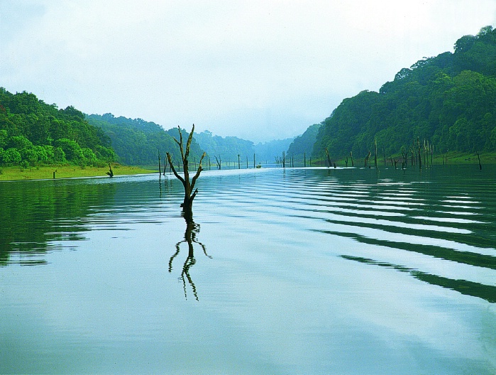 DESTINATION COCHIN MUNNAR THEKKADY NTALLEPPY KUMARAKOM