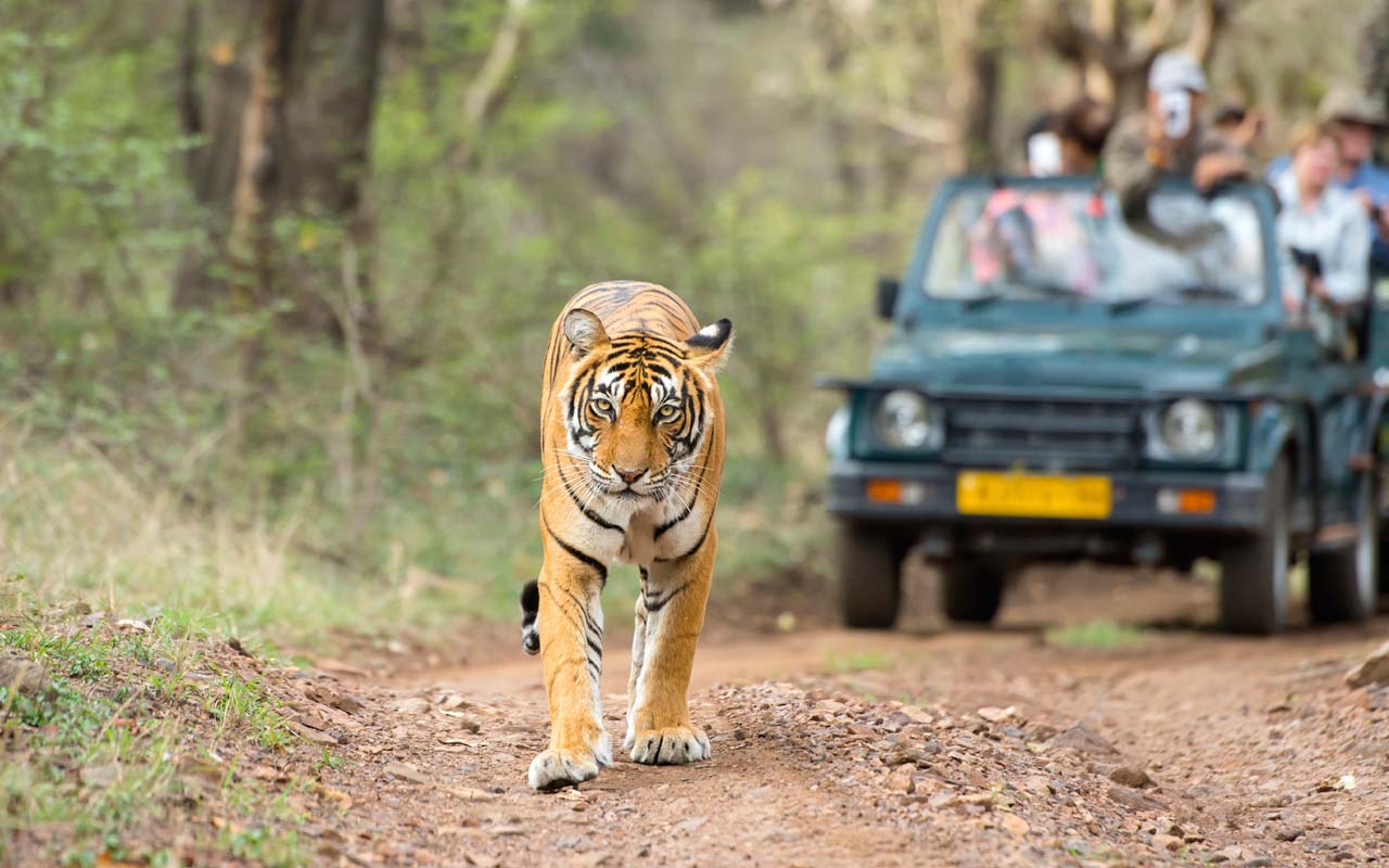 AGRA RANTHAMBORE JAIPUR DELHI 