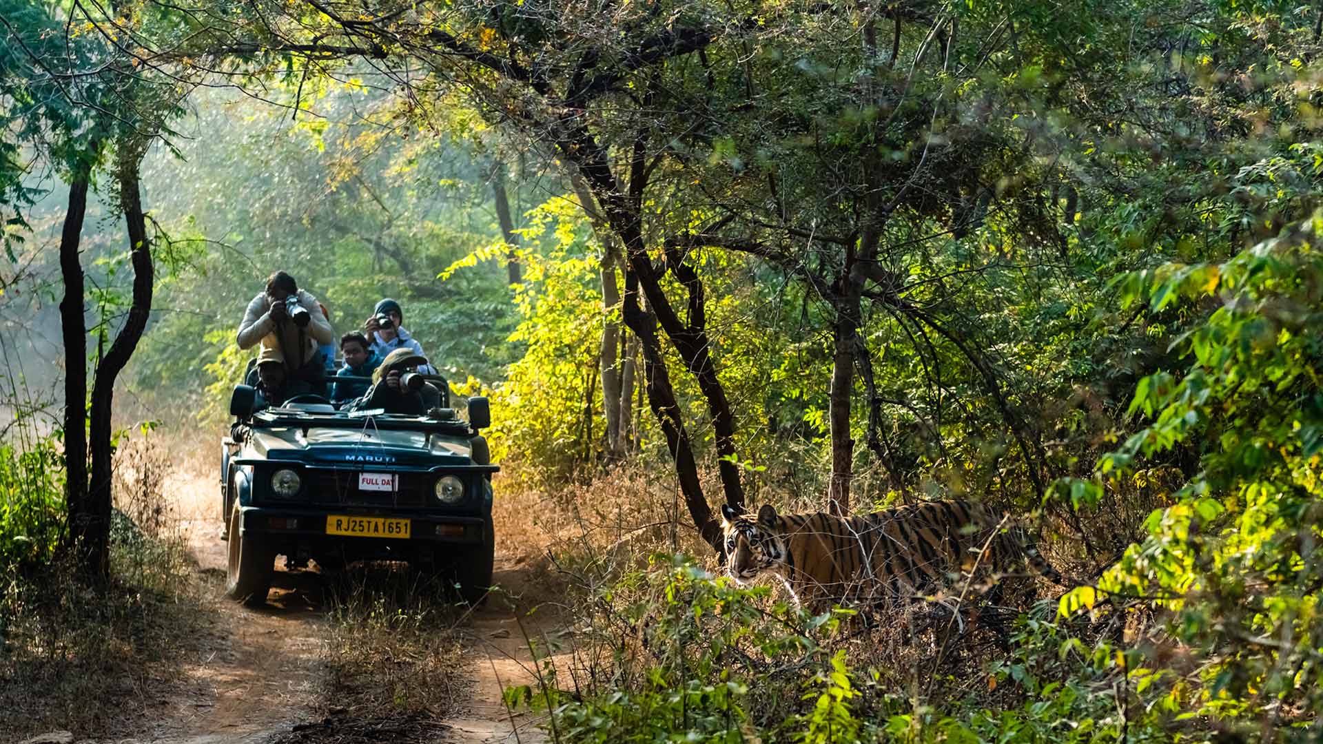 RANTHAMBORE TOUR PACKAGE