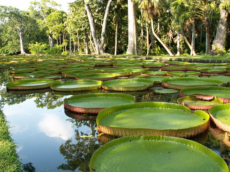 Mauritius