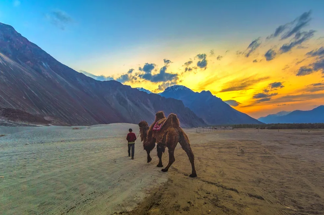 LEH LADAKH SHAM VALLEY PANGONG LAKE TOUR 4 DAYS