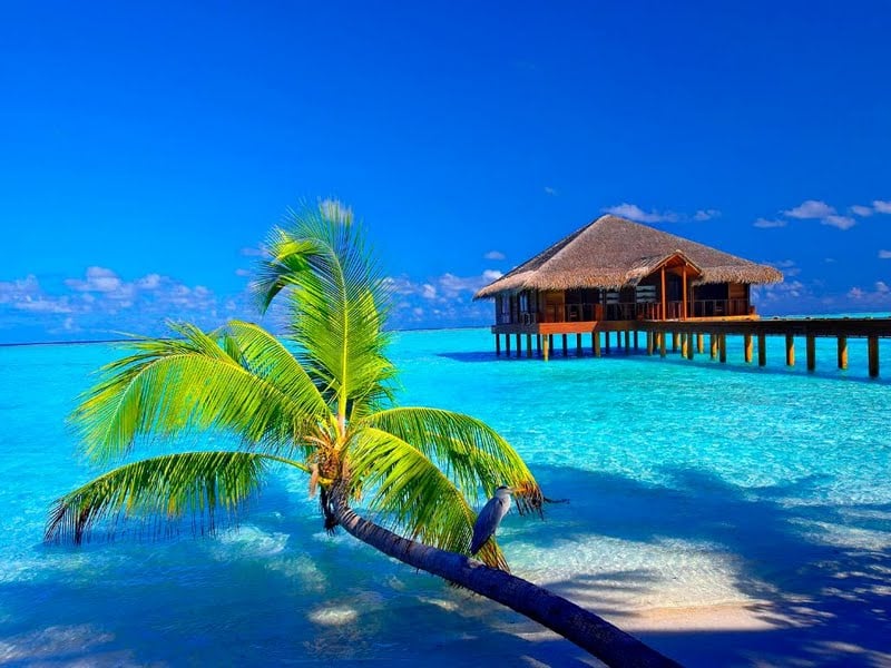 BANDOS MALDIVES TRIP
